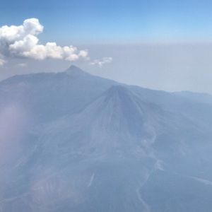 Meet your Posher, Olga